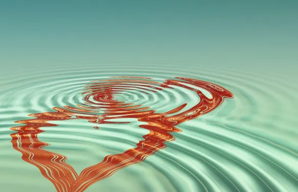 Casino Barbados Bingo Assistance